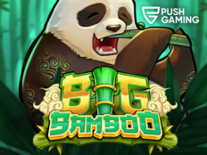 Betting in casino. High roller casino slots.8